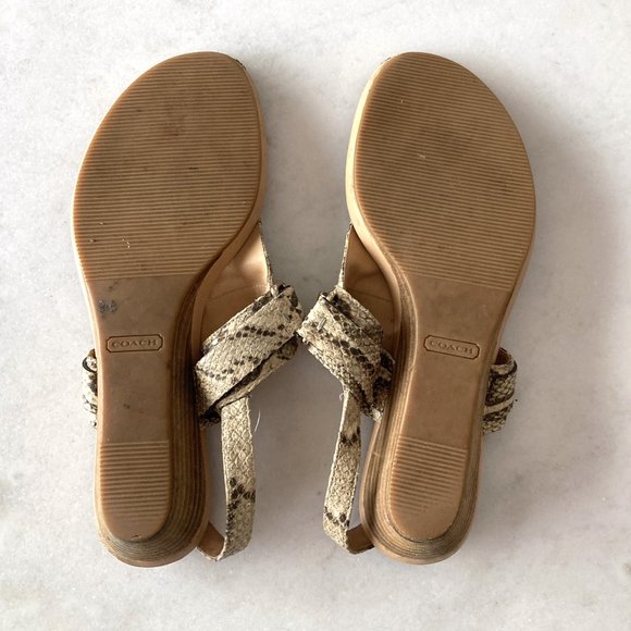 Coach wedge slingback Danielle sandal, neutral snakeskin / python print, t strap - Picture 7 of 8